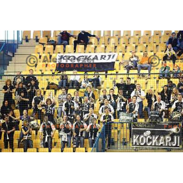 Gold Club fans at the Final of the slovenian handball cup for men 2008 Gold Club - Cimos Koper at Zlatorog hall, Celje 