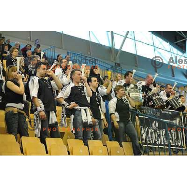Gold Club fans at the Final of the slovenian handball cup for men 2008 Gold Club - Cimos Koper at Zlatorog hall, Celje 