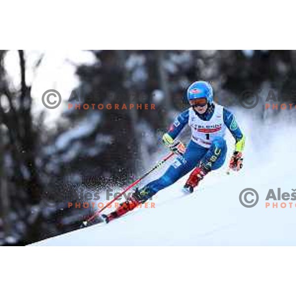 Mikaela Shiffrin (USA) competes at AUDI FIS World Cup Giant Slalom for 57.Golden Fox-Zlata Lisica, Kranjska gora, Slovenia on January 17, 2021