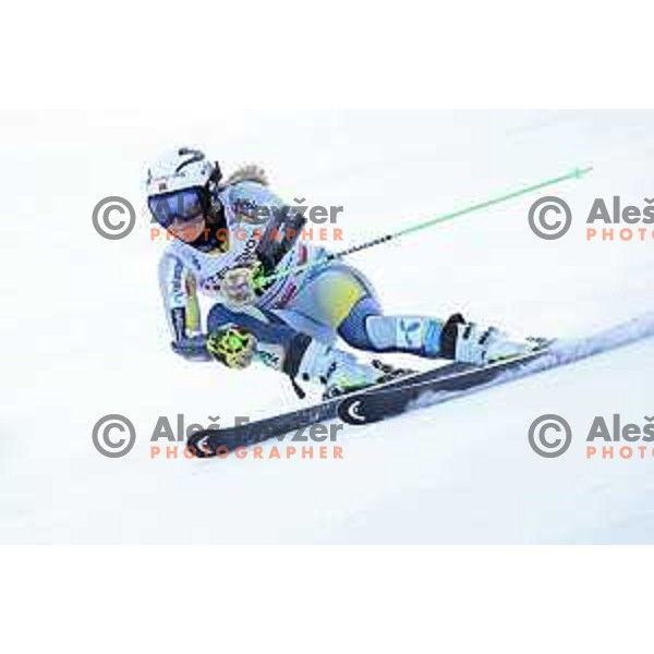 Ragnhild Mowinckel (NOR) skiing in the first run of AUDI FIS World Cup Giant Slalom for 57.Golden Fox-Zlata Lisica, Kranjska gora, Slovenia on January 17, 2021