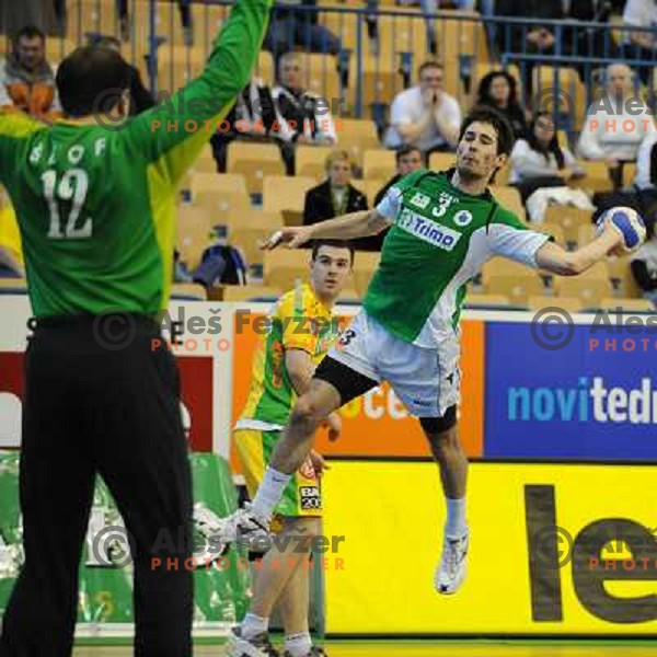 Anze Korelc and Gorazd Skof at the 3rd place Matoc of the slovenian handball cup for men 2008 Celje Pivovarna Lasko - Trimo Trebnje at Zlatorog hall, Celje 