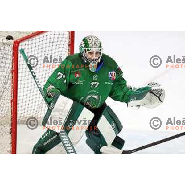 Paavo Holsa of SZ Olimpija in action during Alps League ice-hockey match between SZ Olimpija and Lustenau in Ljubljana, Slovenia on January 24, 2021