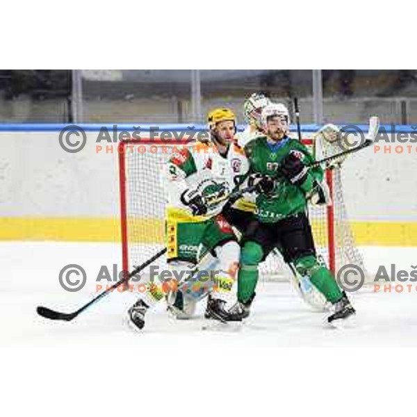 Luka Ulamec of SZ Olimpija in action during Alps League ice-hockey match between SZ Olimpija and Lustenau in Ljubljana, Slovenia on January 24, 2021
