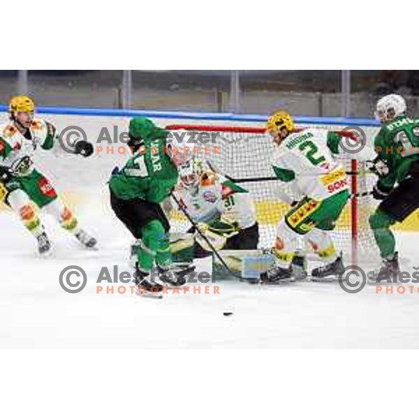 Miha Logar of SZ Olimpija in action during Alps League ice-hockey match between SZ Olimpija and Lustenau in Ljubljana, Slovenia on January 24, 2021