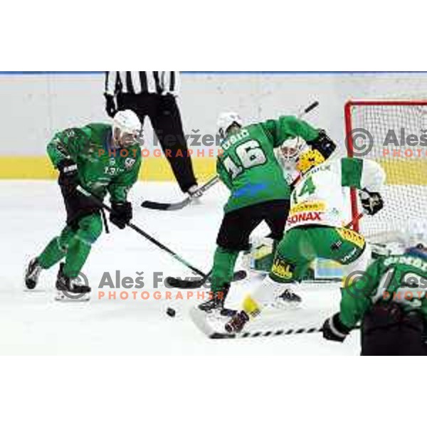 Ziga Pance and Ales Music of SZ Olimpija in action during Alps League ice-hockey match between SZ Olimpija and Lustenau in Ljubljana, Slovenia on January 24, 2021