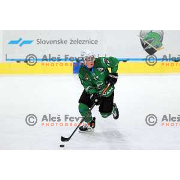 Miha Logar of SZ Olimpija in action during Alps League ice-hockey match between SZ Olimpija and Lustenau in Ljubljana, Slovenia on January 24, 2021
