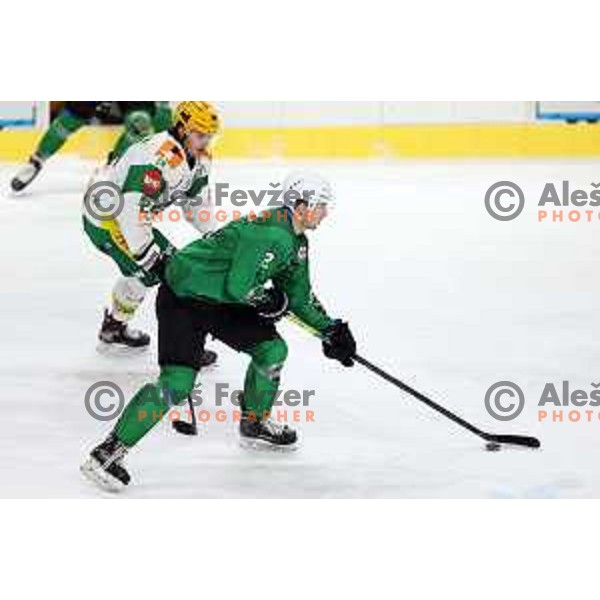 Stefan Boskovic of SZ Olimpija in action during Alps League ice-hockey match between SZ Olimpija and Lustenau in Ljubljana, Slovenia on January 24, 2021
