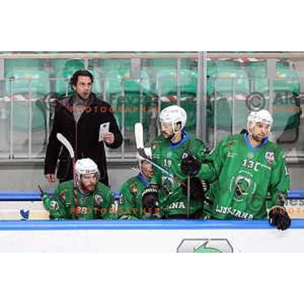 Gregor Poloncic, head coach of SZ Olimpija during Alps League ice-hockey match between SZ Olimpija and Lustenau in Ljubljana, Slovenia on January 24, 2021