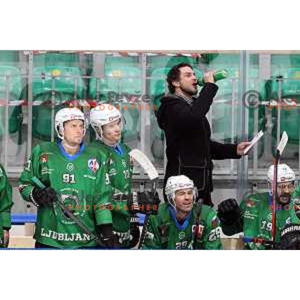 Gregor Poloncic, head coach of SZ Olimpija during Alps League ice-hockey match between SZ Olimpija and Lustenau in Ljubljana, Slovenia on January 24, 2021