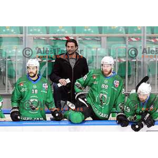 Gregor Poloncic, head coach of SZ Olimpija during Alps League ice-hockey match between SZ Olimpija and Lustenau in Ljubljana, Slovenia on January 24, 2021