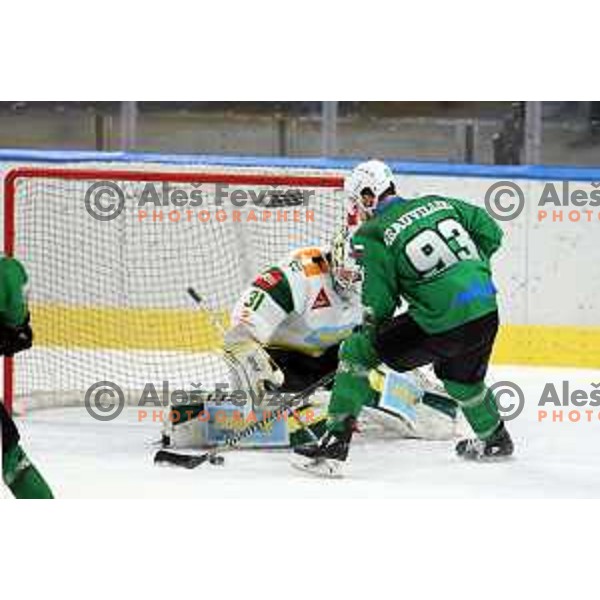 Francis Beuvillier of SZ Olimpija in action during Alps League ice-hockey match between SZ Olimpija and Lustenau in Ljubljana, Slovenia on January 24, 2021