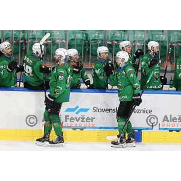 Miha Zajc and Andraz Zibelnik of SZ Olimpija in action during Alps League ice-hockey match between SZ Olimpija and Lustenau in Ljubljana, Slovenia on January 24, 2021