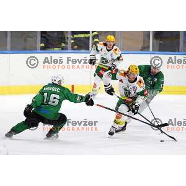 Ales Music of SZ Olimpija in action during Alps League ice-hockey match between SZ Olimpija and Lustenau in Ljubljana, Slovenia on January 24, 2021
