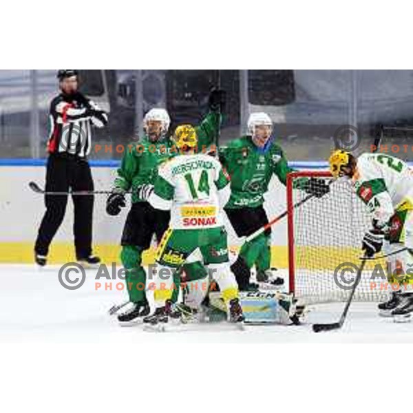 Ziga Pance of SZ Olimpija in action during Alps League ice-hockey match between SZ Olimpija and Lustenau in Ljubljana, Slovenia on January 24, 2021