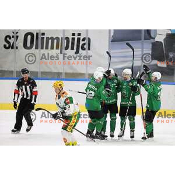 Nik Simsic of SZ Olimpija in action during Alps League ice-hockey match between SZ Olimpija and Lustenau in Ljubljana, Slovenia on January 24, 2021