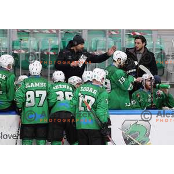 of SZ Olimpija in action during Alps League ice-hockey match between SZ Olimpija and Lustenau in Ljubljana, Slovenia on January 24, 2021