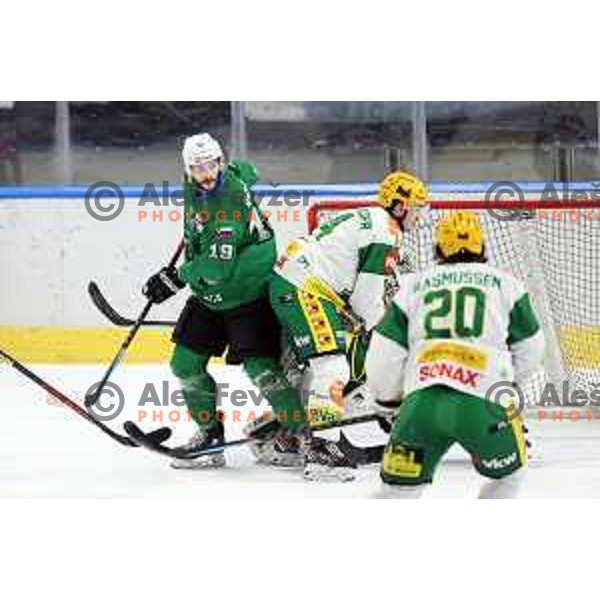 Gal Koren of SZ Olimpija in action during Alps League ice-hockey match between SZ Olimpija and Lustenau in Ljubljana, Slovenia on January 24, 2021