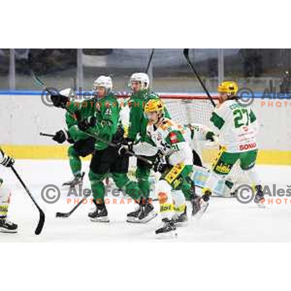 Anze Ropret and Tadej Cimzar of SZ Olimpija in action during Alps League ice-hockey match between SZ Olimpija and Lustenau in Ljubljana, Slovenia on January 24, 2021