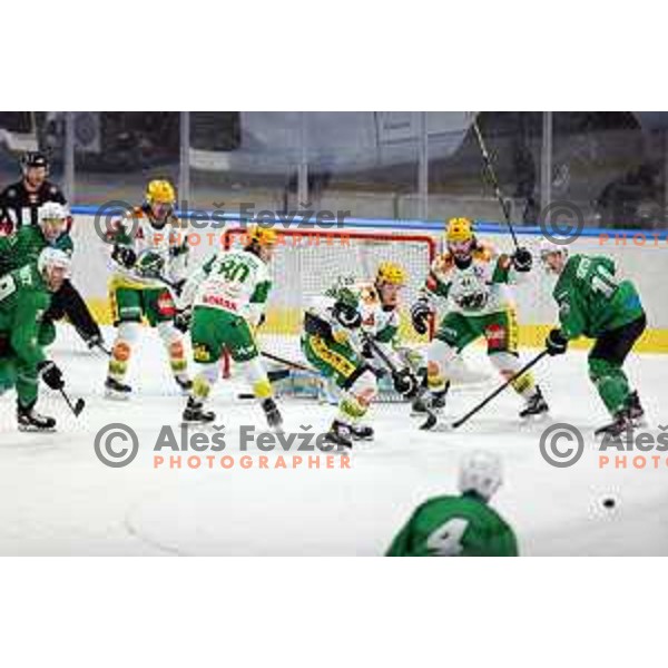 Anze Ropret and Mark Sever of SZ Olimpija in action during Alps League ice-hockey match between SZ Olimpija and Lustenau in Ljubljana, Slovenia on January 24, 2021