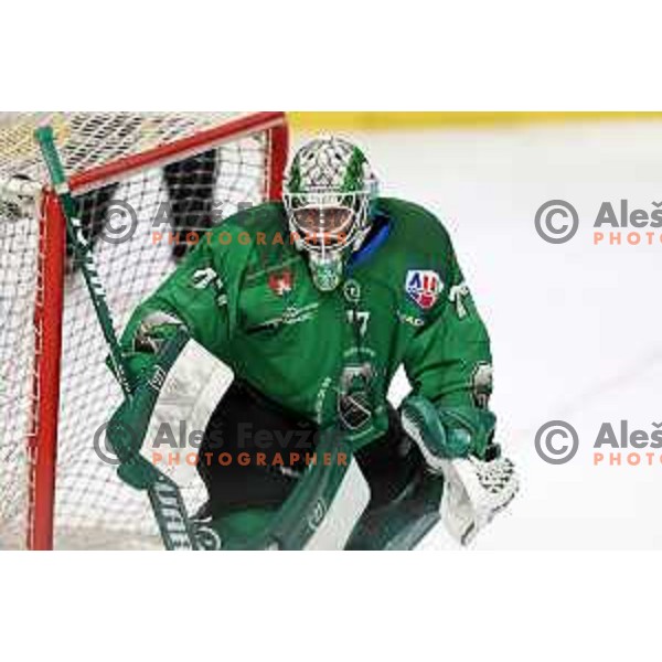 Paavo Holsa of SZ Olimpija in action during Alps League ice-hockey match between SZ Olimpija and Feldkirch in Ljubljana, Slovenia on February 6, 2021