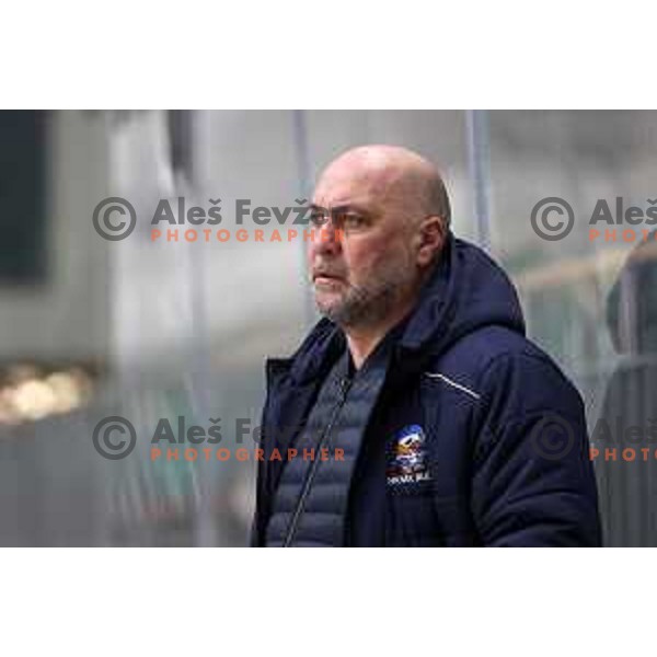 Toni Tislar during Slovenian National ice-hockey Championships match between Slavija and Bled in Ljubljana on February 13, 2021
