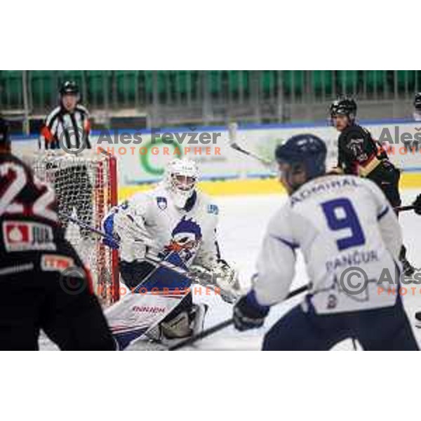 action during Slovenian National ice-hockey Championships match between Slavija and Bled in Ljubljana on February 13, 2021