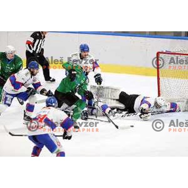 Ziga Pesut of SZ Olimpija in action during Alps League ice-hockey match between SZ Olimpija and Fassa Falcons in Tivoli Hall, Ljubljana, Slovenia on February 16, 2021