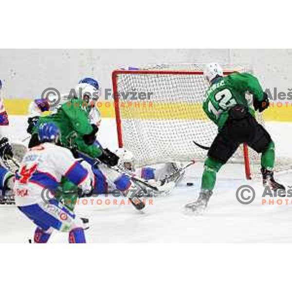 Nik Simsic of SZ Olimpija scores goal during Alps League ice-hockey match between SZ Olimpija and Fassa Falcons in Tivoli Hall, Ljubljana, Slovenia on February 16, 2021