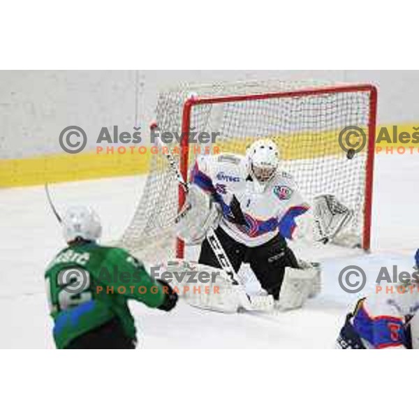 Marco Felicetti in action during Alps League ice-hockey match between SZ Olimpija and Fassa Falcons in Tivoli Hall, Ljubljana, Slovenia on February 16, 2021