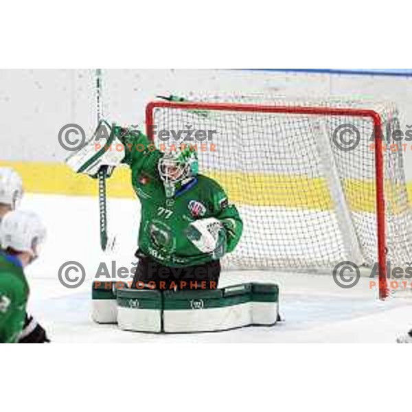 Paavo Holsa of SZ Olimpija in action during Alps League ice-hockey match between SZ Olimpija and Fassa Falcons in Tivoli Hall, Ljubljana, Slovenia on February 16, 2021