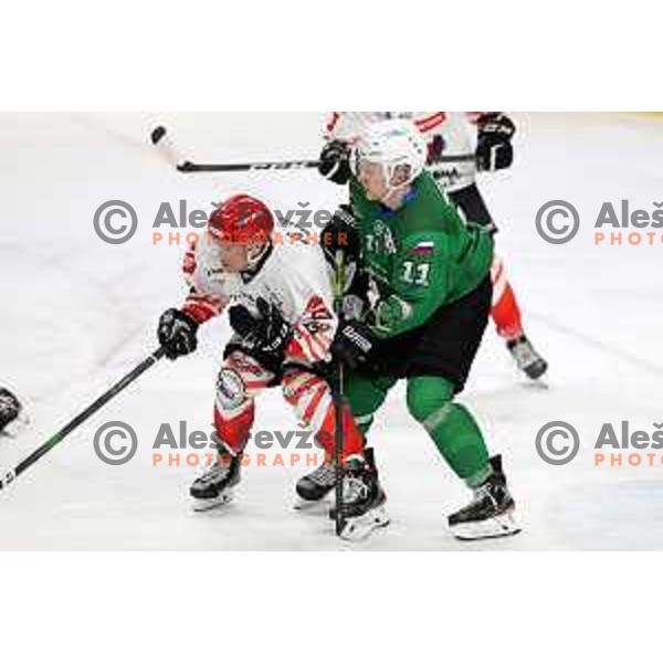 Juuso Puuli in action during Alps league ice-hockey match between SZ Olimpija and Acroni Jesenice in Ljubljana, Slovenia on March 3, 2021