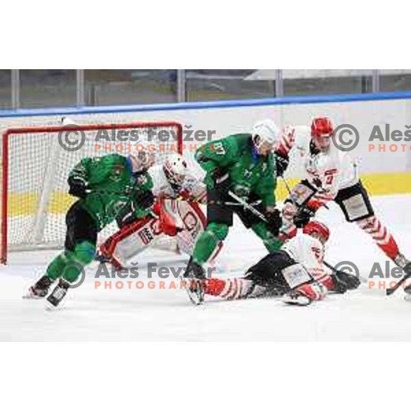 Marc Oliver Vallerand, Nik Simsic during Alps league ice-hockey match between SZ Olimpija and Acroni Jesenice in Ljubljana, Slovenia on March 3, 2021
