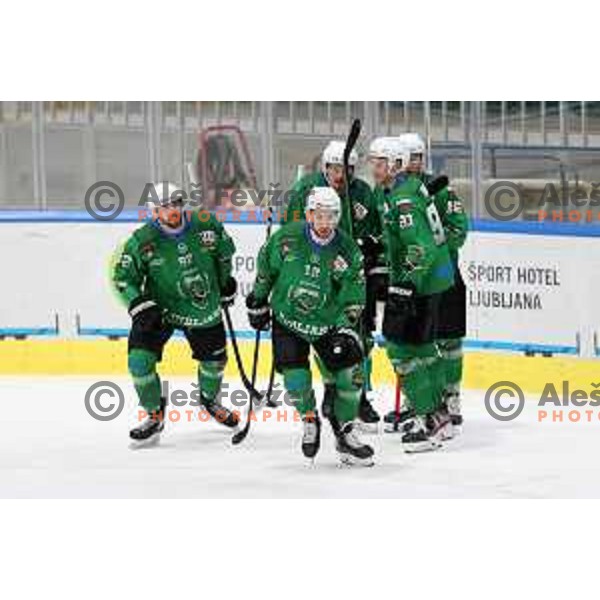 Aleksandar Magovac, Nik Simsic during Alps league ice-hockey match between SZ Olimpija and Acroni Jesenice in Ljubljana, Slovenia on March 3, 2021