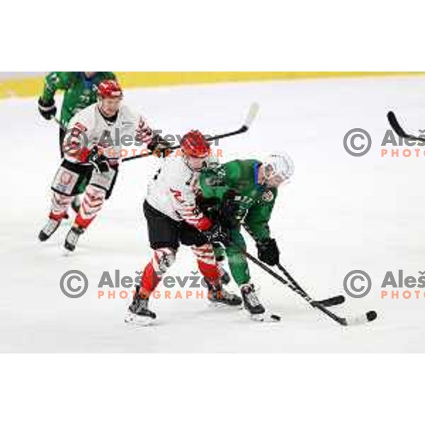 Nik Simsic in action during Alps league ice-hockey match between SZ Olimpija and Acroni Jesenice in Ljubljana, Slovenia on March 3, 2021
