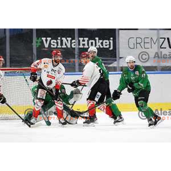 Andrej Hebar, Aleksandar Magovac in action during Alps league ice-hockey match between SZ Olimpija and Acroni Jesenice in Ljubljana, Slovenia on March 3, 2021