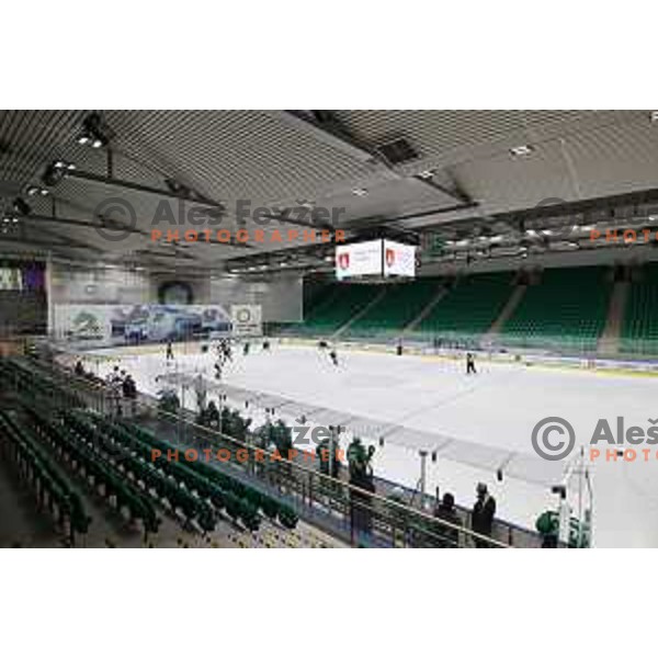 In action during Alps league ice-hockey match between SZ Olimpija and Acroni Jesenice in Ljubljana, Slovenia on March 3, 2021