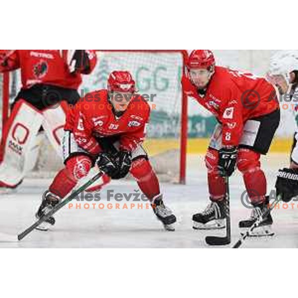 Jaka Sodja and Ziga Urukalo during Alps league ice-hockey match between Acroni Jesenice and SZ Olimpija in Jesenice, Slovenia on March 9, 2021
