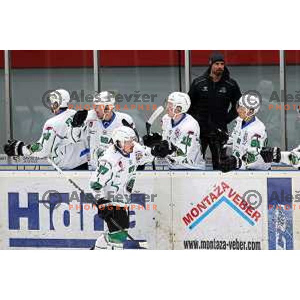 Marc Oliver Vallerand in action during Alps league ice-hockey match between Acroni Jesenice and SZ Olimpija in Jesenice, Slovenia on March 9, 2021