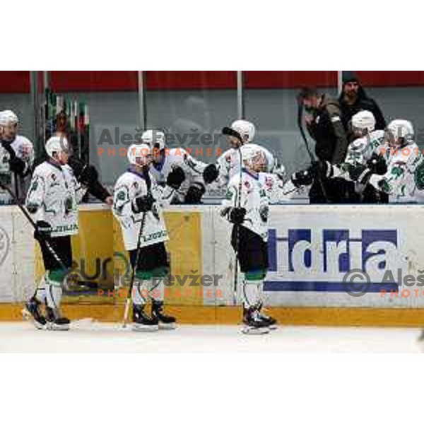 Nik Simsic in action during Alps league ice-hockey match between Acroni Jesenice and SZ Olimpija in Jesenice, Slovenia on March 9, 2021