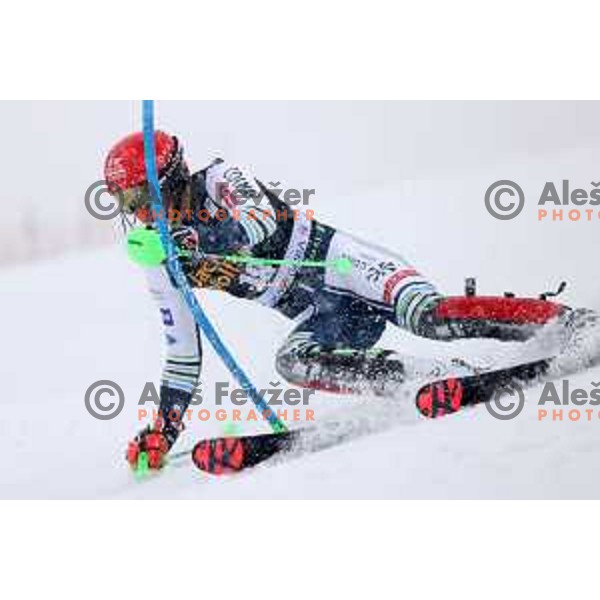 Stefan Hadalin skiing in the first run of AUDI FIS World Cup Slalom for 60.Vitranc Cup in Kranjska gora, Slovenia on March 14, 2021