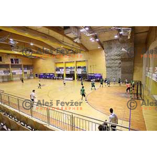 Action during 1.NLB league match between Riko Ribnica and Celje Pivovarna Lasko in Ribnica on on March 20, 2021