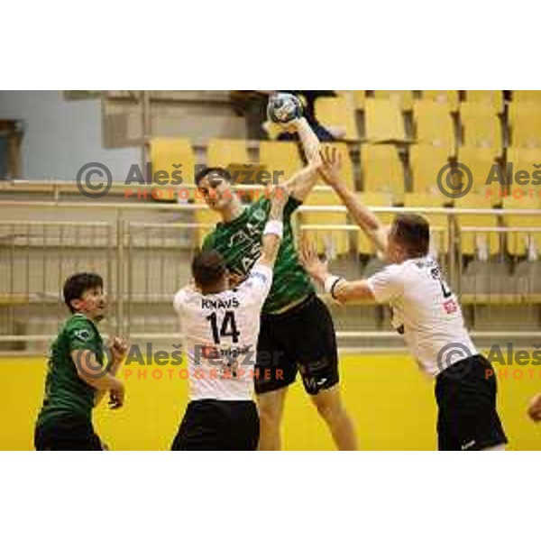 Matic Groselj during 1.NLB league match between Riko Ribnica and Celje Pivovarna Lasko in Ribnica on on March 20, 2021