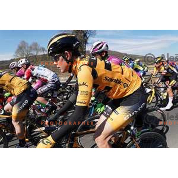 Dylan Hopkins At Grand Prix of Slovenian Istria - UCI cycling race in Izola on March 21, 2021