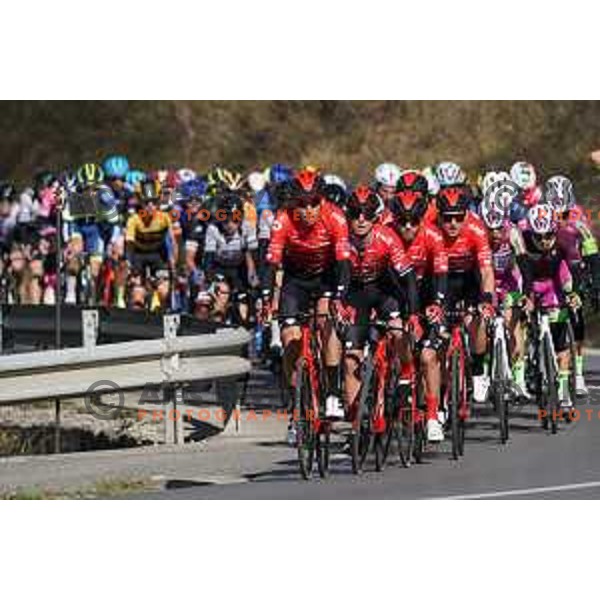 At Grand Prix of Slovenian Istria - UCI cycling race in Izola on March 21, 2021