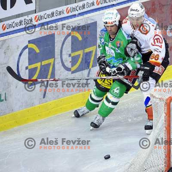 Elik and Kovacevic at Ice Hockey match ZM Olimpija - Acroni Jesence - Third game of the final of the Slovenian championship ,played in Hala Tivoli Ljubljana 08.04.2008, Jesenice won 2:1 