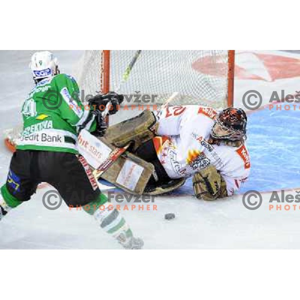 Intranuovo and Kristan at Ice Hockey match ZM Olimpija - Acroni Jesence - Third game of the final of the Slovenian championship ,played in Hala Tivoli Ljubljana 08.04.2008, Jesenice won 2:1 
