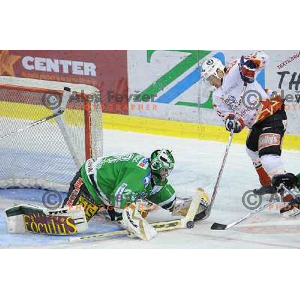 Mohoric and Pretnar at Ice Hockey match ZM Olimpija - Acroni Jesence - Third game of the final of the Slovenian championship ,played in Hala Tivoli Ljubljana 08.04.2008, Jesenice won 2:1 
