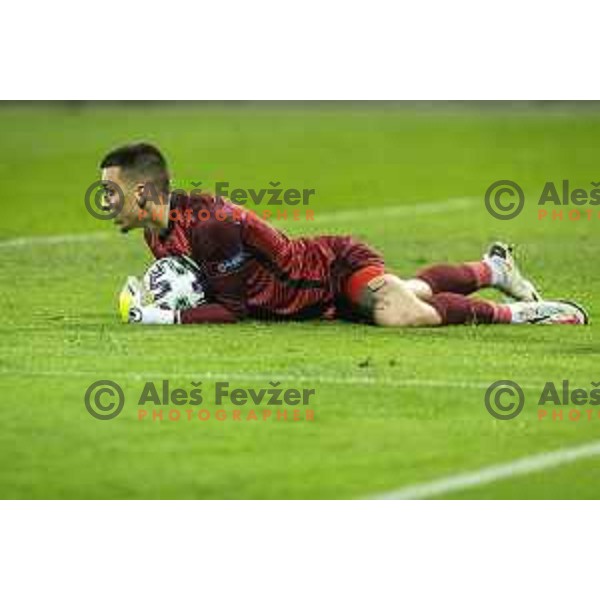 Igor Vekic in action during U21 UEFA European Championship 2021 football match between Slovenia and Czech Republic in Arena Z’dezele, Celje, Slovenia on March 27, 2021
