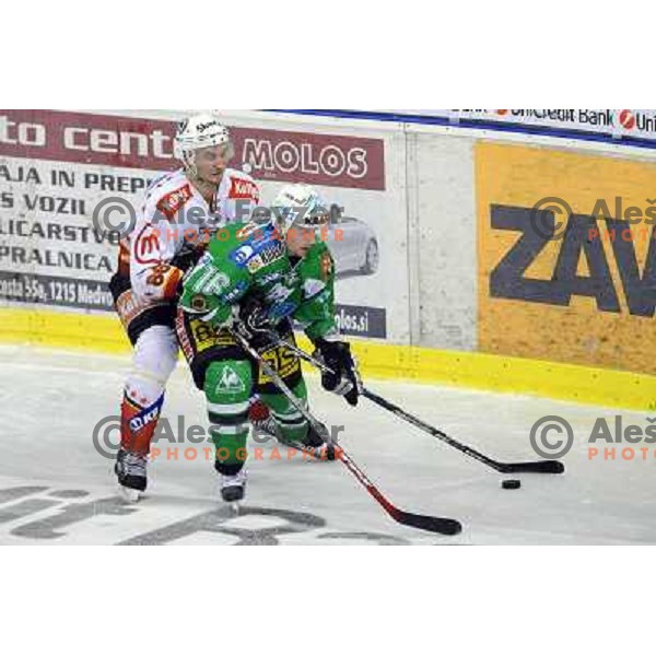 Kovacevic and Music at Ice Hockey match ZM Olimpija - Acroni Jesence - Third game of the final of the Slovenian championship ,played in Hala Tivoli Ljubljana 08.04.2008, Jesenice won 2:1 