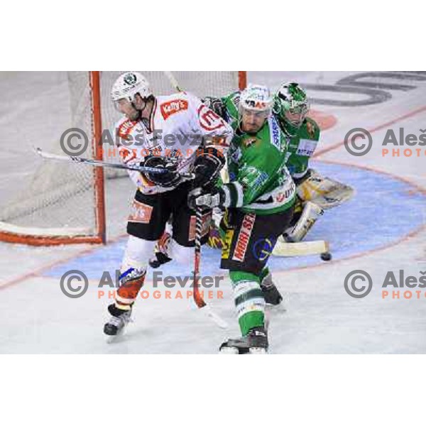 Pretnar Mccarty and Mohoric at Ice Hockey match ZM Olimpija - Acroni Jesence - Third game of the final of the Slovenian championship ,played in Hala Tivoli Ljubljana 08.04.2008, Jesenice won 2:1 